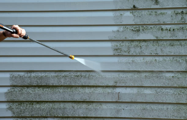 Best Solar Panel Cleaning  in Mayodan, NC